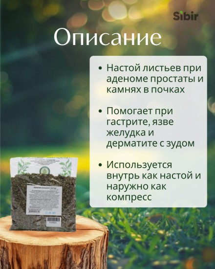 Лопуха большого листья