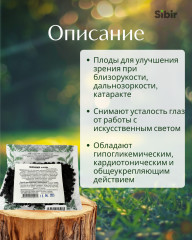 Черники плоды - Фото 1