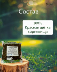 Красная щётка корневища - Фото 3