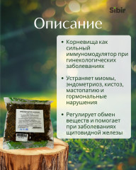 Красная щётка корневища - Фото 1