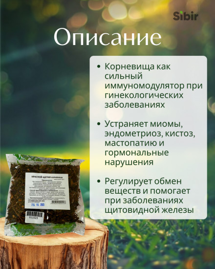 Красная щётка корневища