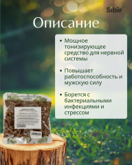 Золотой корень (родиолы розовой) корневища - Фото 1