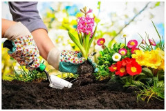 Концентрат «Биогумат» - Фото 7