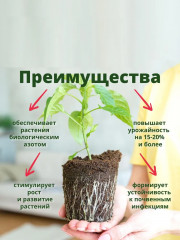 Удобрение «БиоМаг» - Фото 1