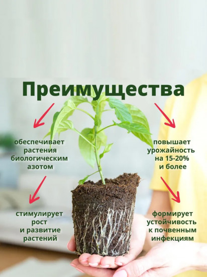 Удобрение «БиоМаг»