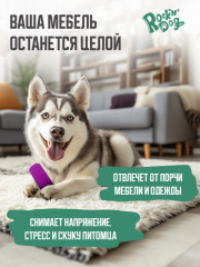 Игрушка для собак «Угарная прогулка» - Фото 4