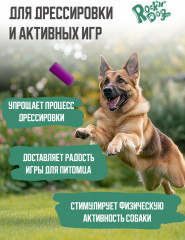 Игрушка для собак «Угарная прогулка» - Фото 3