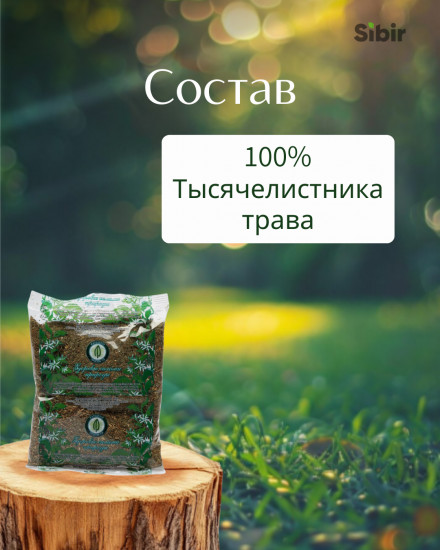 Тысячелистника трава