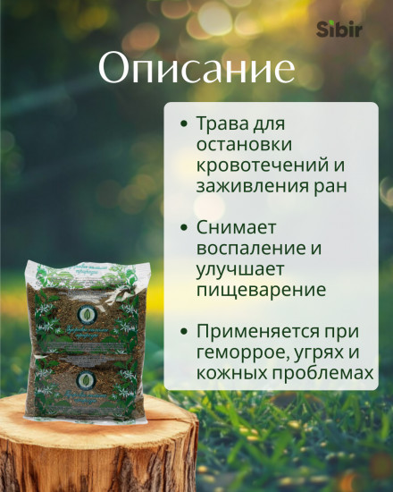 Тысячелистника трава