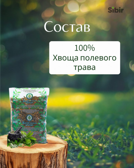 Хвоща полевого трава