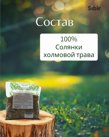 Солянки холмовой трава