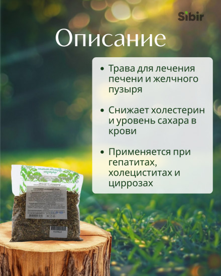 Солянки холмовой трава