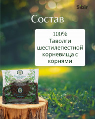 Таволги шестилепестной корневища с корнями - Фото 3