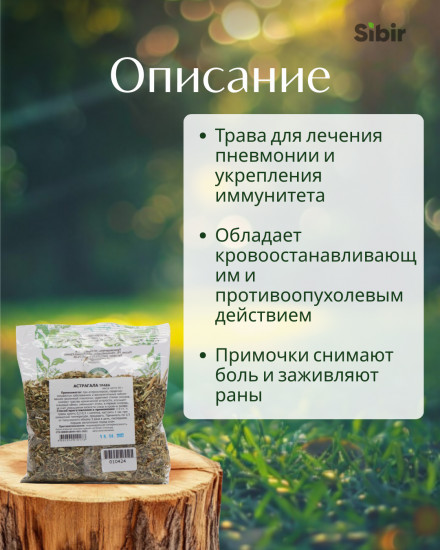 Астрагала трава