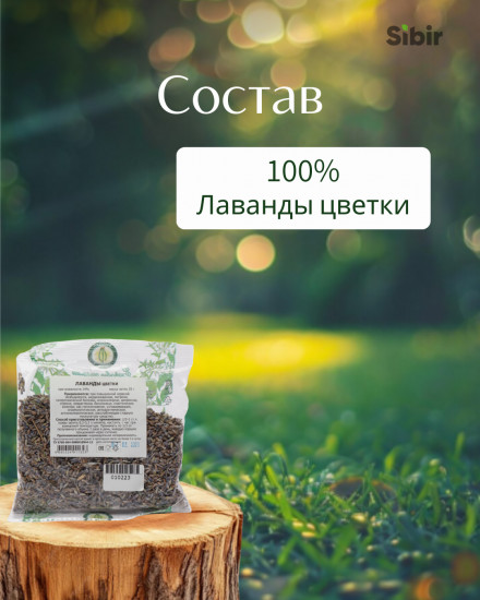 Лаванды цветки