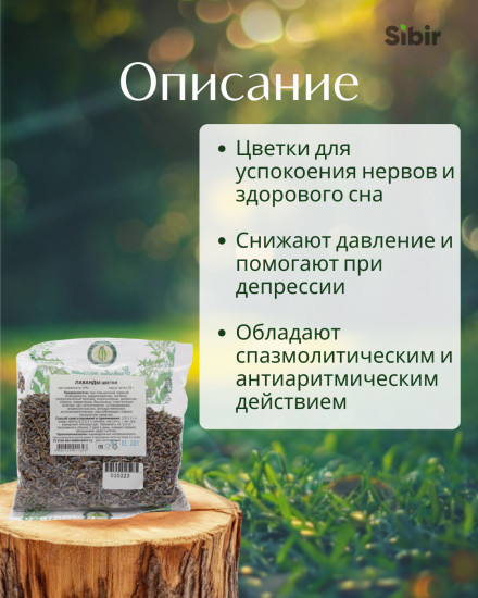 Лаванды цветки