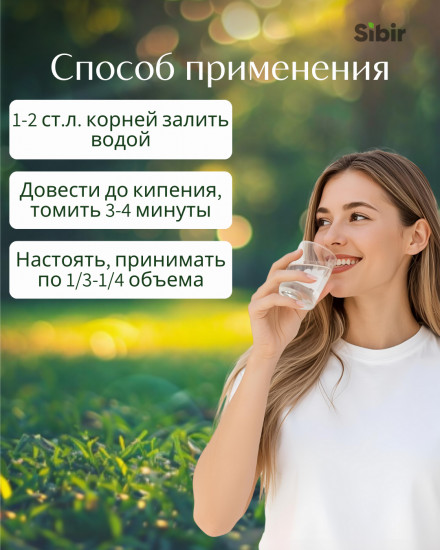 Лопуха большого корни