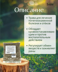 Горца птичьего (спорыша) трава - Фото 1