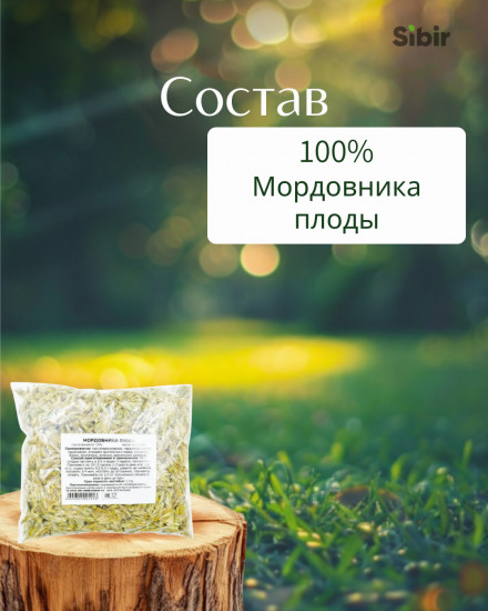 Мордовника плоды