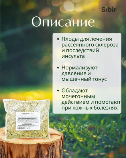 Мордовника плоды