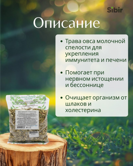 Овса молочной спелости трава