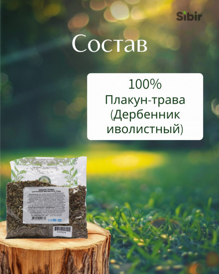 Плакун-трава (Дербенник иволистный)