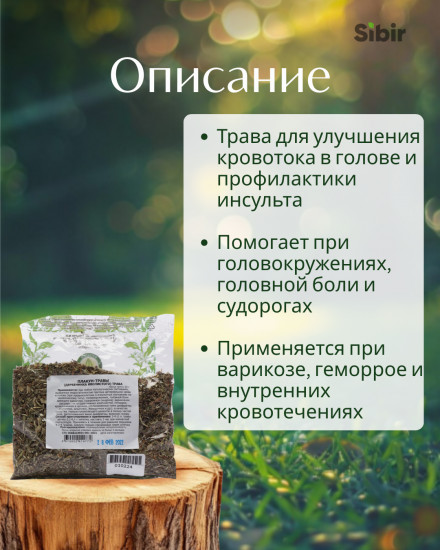 Плакун-трава (Дербенник иволистный)