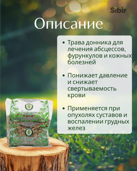 Донник лекарственный (жёлтый)