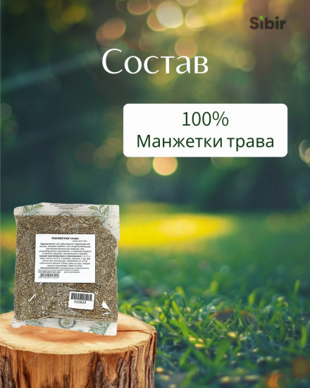 Манжетки трава