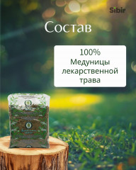 Медуницы лекарственной трава - Фото 3