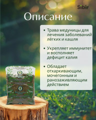 Медуницы лекарственной трава - Фото 1