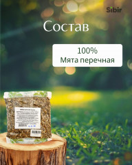 Мята перечная - Фото 3