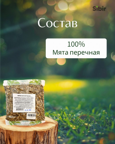 Мята перечная