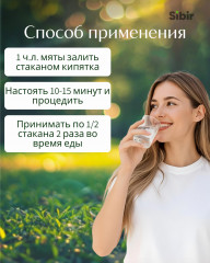 Мята перечная - Фото 2