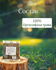 Ортосифона трава - Фото 3