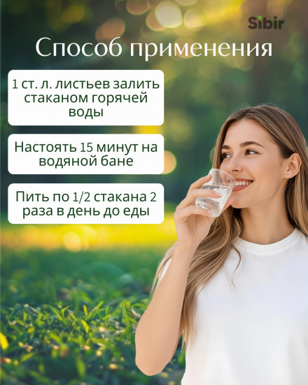 Ортосифона трава