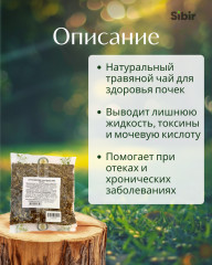 Ортосифона трава - Фото 1