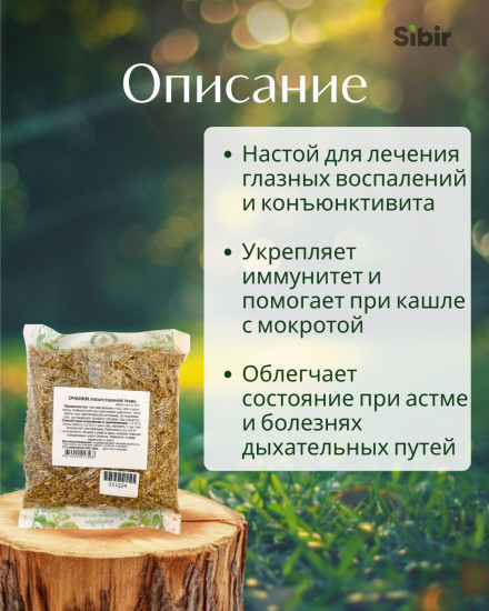 Очанки лекарственной трава