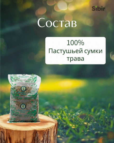 Пастушьей сумки трава