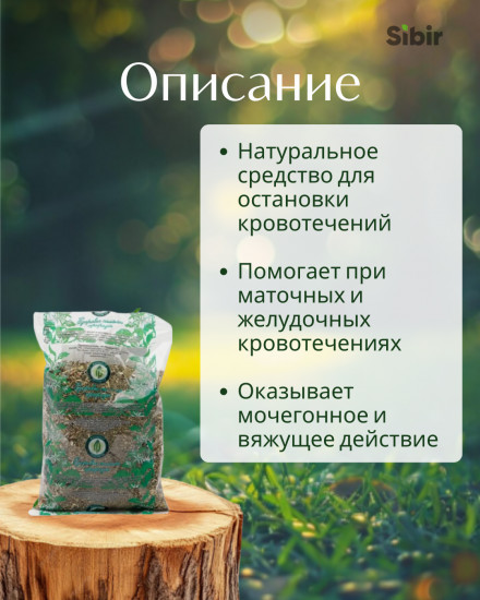 Пастушьей сумки трава