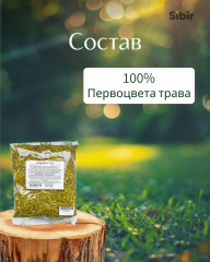 Первоцвета трава - Фото 3