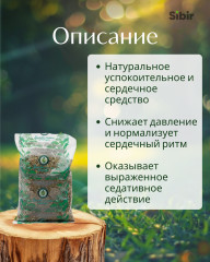 Пустырника трава - Фото 1