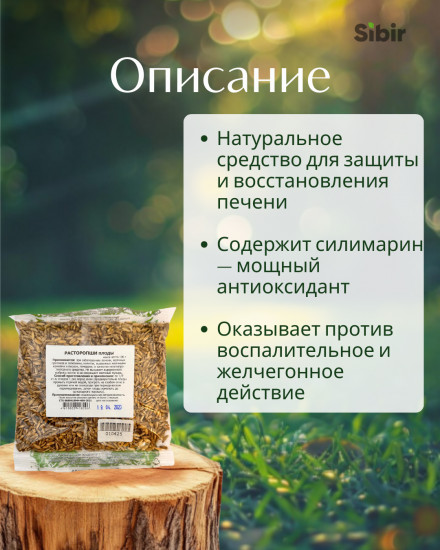 Расторопши плоды