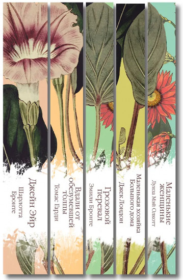 Джейн Эйр. Вдали от обезумевшей толпы. Маленькая хозяйка Большого дома. Комплект из 5 книг