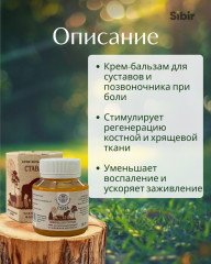 Мазь костно-суставная «Става» - Фото 1