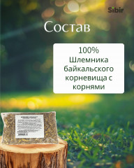 Шлемника байкальского корневища с корнями - Фото 3