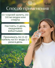 Шлемника байкальского корневища с корнями - Фото 2