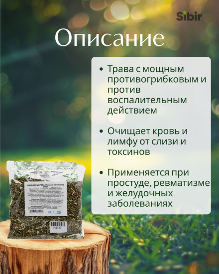 Божье дерево (полынь лечебная) трава