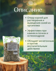 Подсолнечника корни - Фото 1