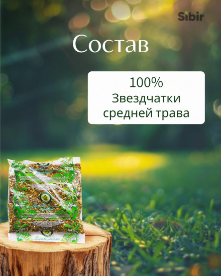 Звездчатки средней трава